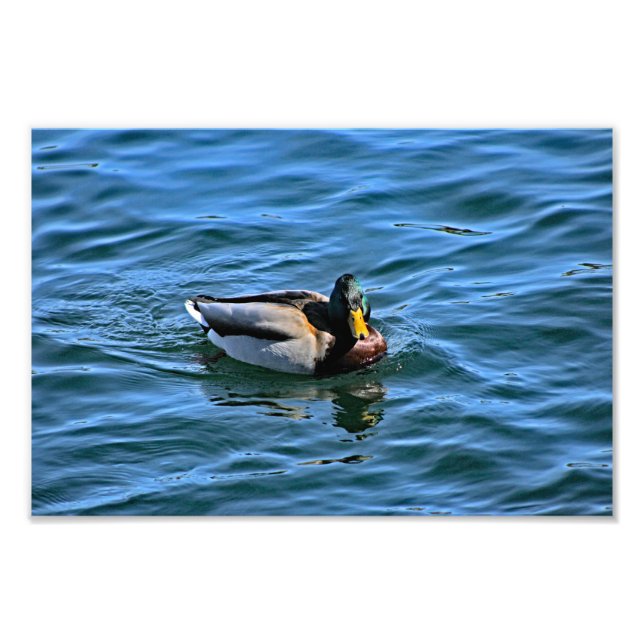 Foto Lago Arrowhead (Frente)