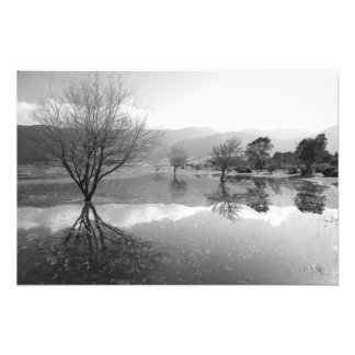 Foto Lago blanco y negro