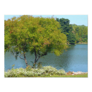 Foto Lago Centennial en Ellicott City Maryland