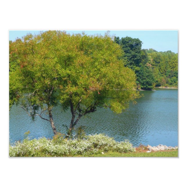 Foto Lago Centennial en Ellicott City Maryland (Frente)