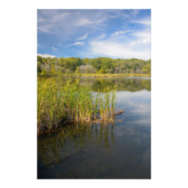 Foto Lago Grassy