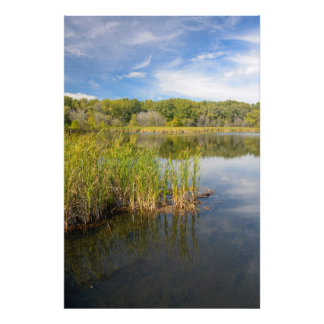 Foto Lago Grassy