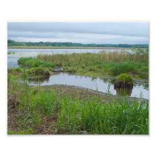 Foto Lago Gun Club y Marismas