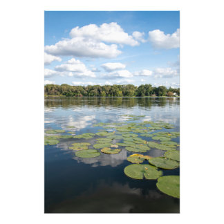 Foto Lago Lily Pad