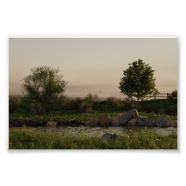 Foto Lago Meadow
