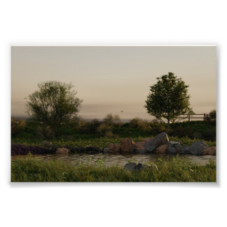 Foto Lago Meadow