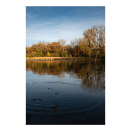 Foto Lago Ripple
