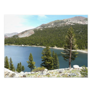 Foto Lago Tenaya en el Parque Nacional Yosemite