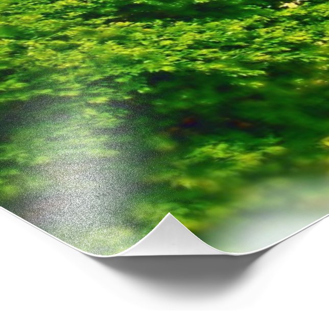 Foto Lakeshores de Chicago Beach (Esquina)