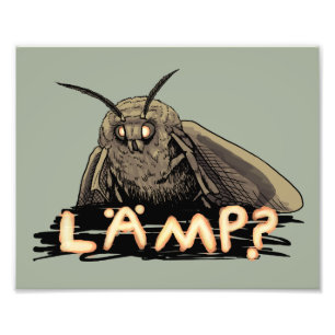 Foto ¿Lámpara? Polilla Meme