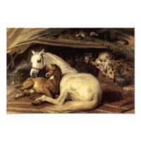 Landseer La Tienda Árabe