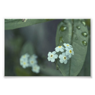 Foto Las gotas de agua guardan el caer