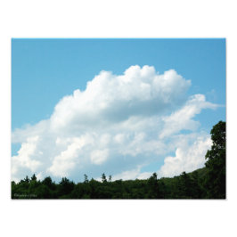 Foto Las nubes se encuentran con los árboles