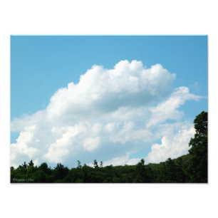 Foto Las nubes se encuentran con los árboles