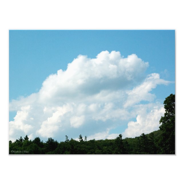 Foto Las nubes se encuentran con los árboles (Frente)