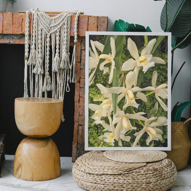 Foto Las orquídeas blancas y el cabello de venado se un (In Situ Framed)