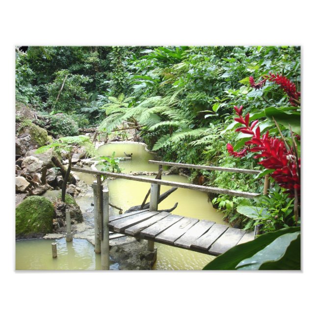 Foto Las piscinas Dominica Sulpher (Frente)