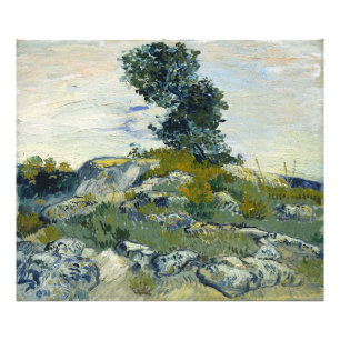 Foto Las Rocas Vincent van Gogh 