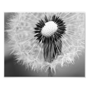 Foto Las semillas del mañana