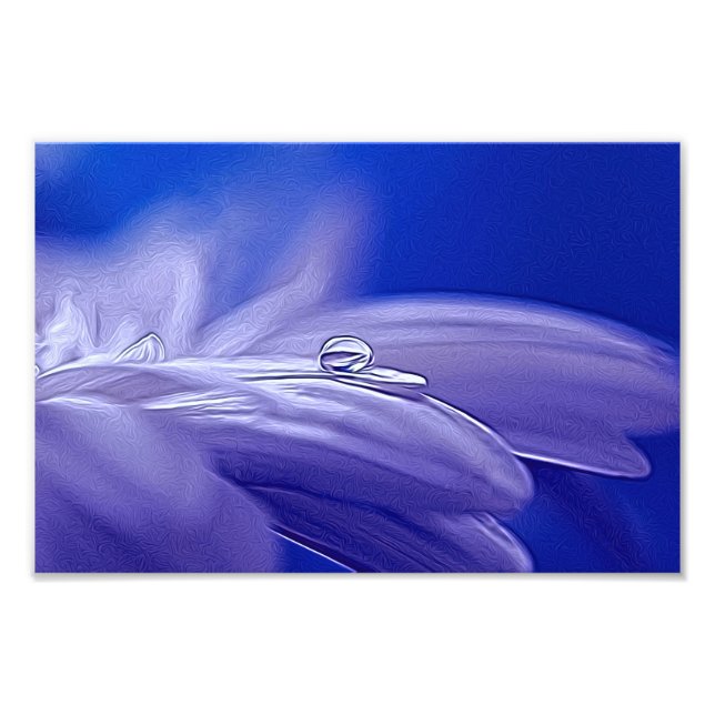 Foto Lass Blüten Sprechen (Frente)