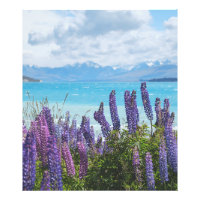 lavanda en la orilla del lago