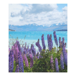 Foto lavanda en la orilla del lago