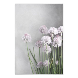 Foto Lavanda Y Chips Verdes En Gris Suave