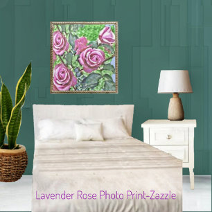 Foto Lavender Rosa Bush