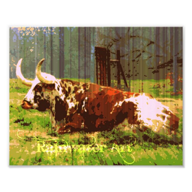 Foto Lazy Longhorn (Frente)