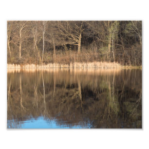 Foto Leche de árboles y reflexiones en el parque Martha