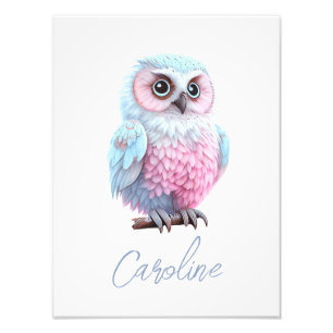 Foto Lechuza Personalizado rosa y azul dulce pastel
