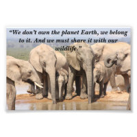 Lema personalizado/Conservación de Elefante Herd S
