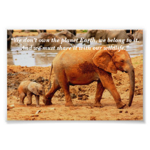 Foto Lema personalizado/Conservación Elefante Madre y t