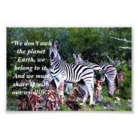 Lema personalizado/Conservación Zebra Aloe