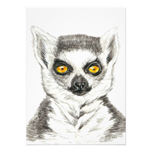Foto Lemur
