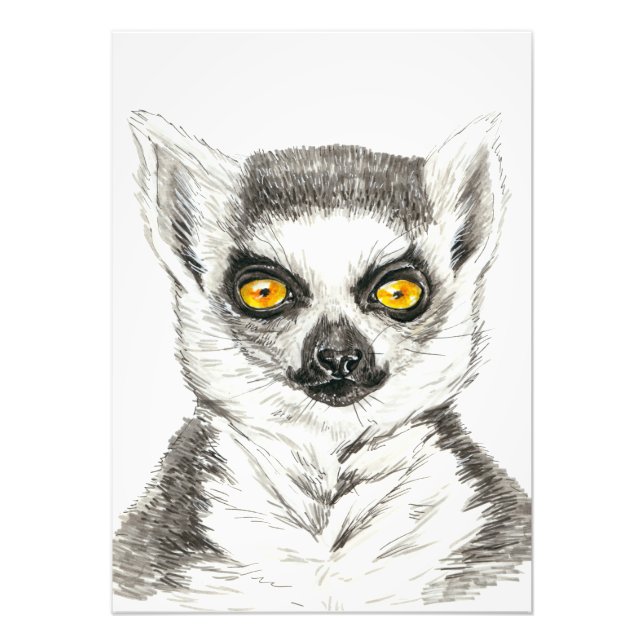 Foto Lemur (Frente)