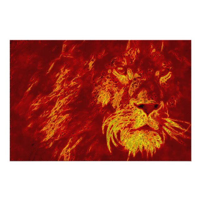 Foto León de fuego (Frente)
