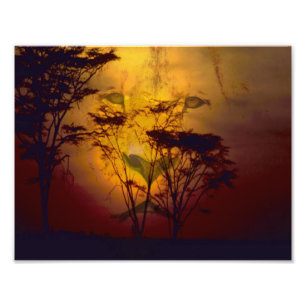 Foto León que mira sobre puesta del sol africana