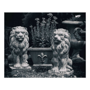 Foto Leones de jardín