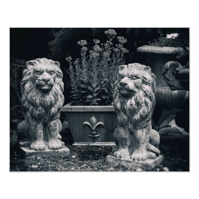 Foto Leones de jardín (Frente)