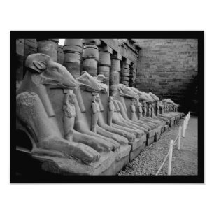 Foto Leones del templo de Karnak
