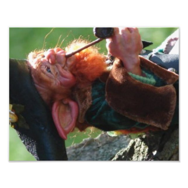 Foto leprechaun real (Frente)