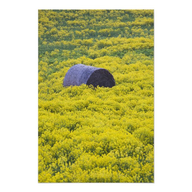 Foto Letonia, noreste de Letonia, región de Vidzeme, 2 (Frente)