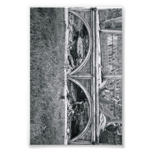 Foto Letra alfabética fotografía B2 blanco y negro 4x6