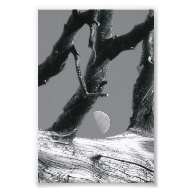 Foto Letra alfabética fotografía M7 blanco y negro 4x6 (Frente)