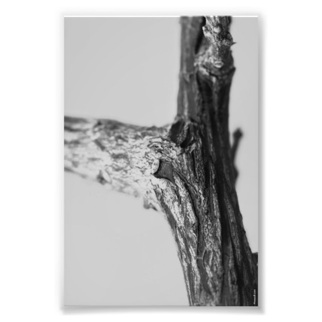 Foto Letra alfabética fotografía Y8 blanco y negro 4x6 (Frente)