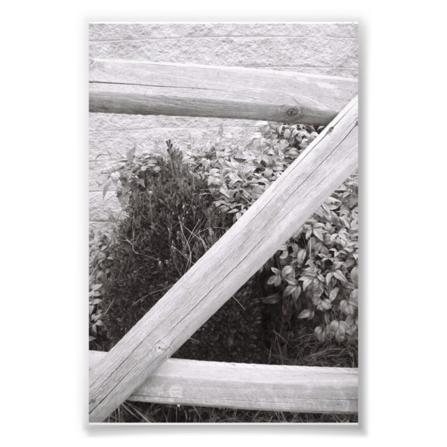 Foto Letra alfabética fotografía Z2 blanco y negro 4x6 (Frente)