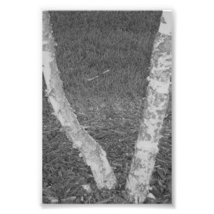 Foto Letra alfabética fotográfica V3 blanco y negro 4x6