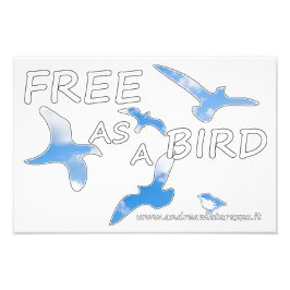 Foto Libre como pájaro