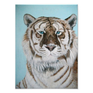 Foto Liger